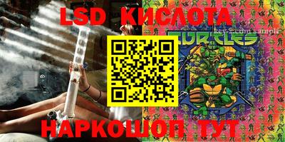 индика Тверь