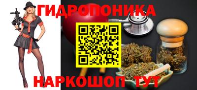 индика Тверь