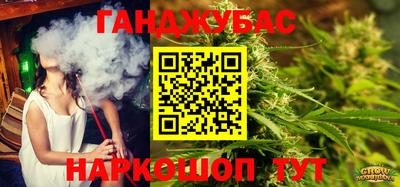 индика Тверь