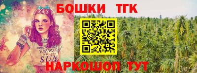 индика Тверь