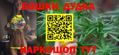 индика Тверь