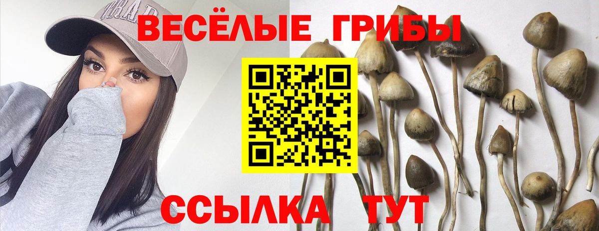Медногорск  Галлюциногенные грибы мицелий  Вход с VPN 
